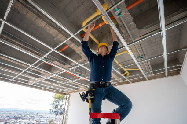 Best Commercial Plumbing Services  in Columbia, IL